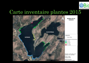 Plantes Aquatique 2015 (2)
