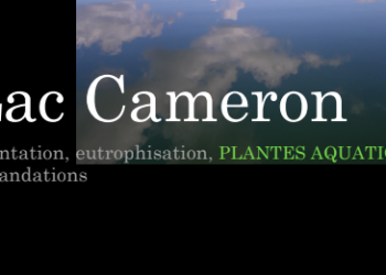 Plantes Aquatique 2015 (1)