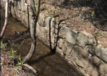 Mise a jour sur le déversement dans le lac Cameron